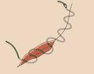 subcuticular-suturing-in-plastic-surgery-dr-barry-eppley-indianapolis