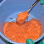 fat-grafts-prior-to-injection-dr-barry-eppley-indianapolis