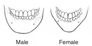 Male and Female Chin Shapes Dr Barry Eppley Indianapolis