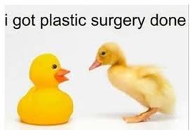 Plastic Surgery Humor (Being Plastic) Dr Barry Eppley Indianapolis