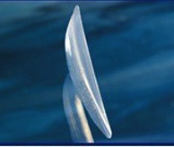Nasal Implants Dr Barry Eppley Indianapolis