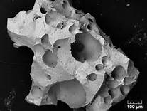 hydroxapatite granule porosity